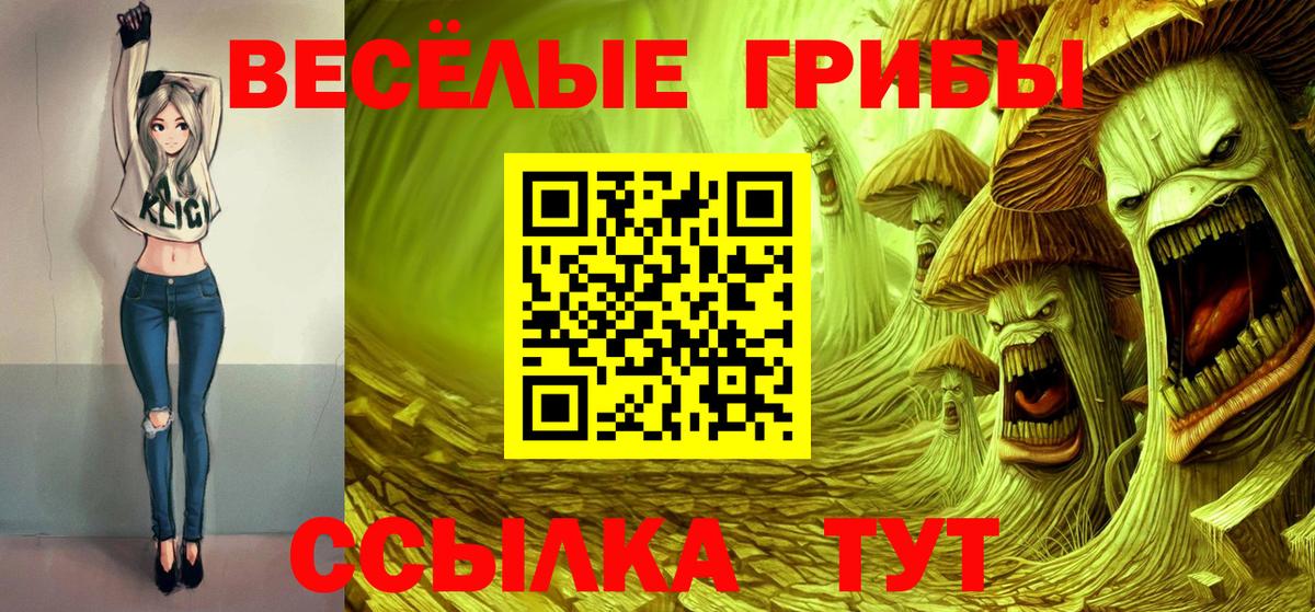 Белореченск  Псилоцибиновые грибы ЛСД  Вход с VPN 